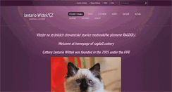 Desktop Screenshot of jantariowittek.cz